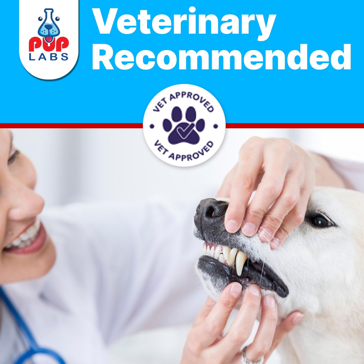 Pup Labs Fresh Breathies, All-Natural Dental Chews for Dogs, Dog Breath Treatment That Supports Gut Health and Immune System, Dog Teeth Cleaning Chews, Dental Treats for Dogs Made in The USA, 30 Count