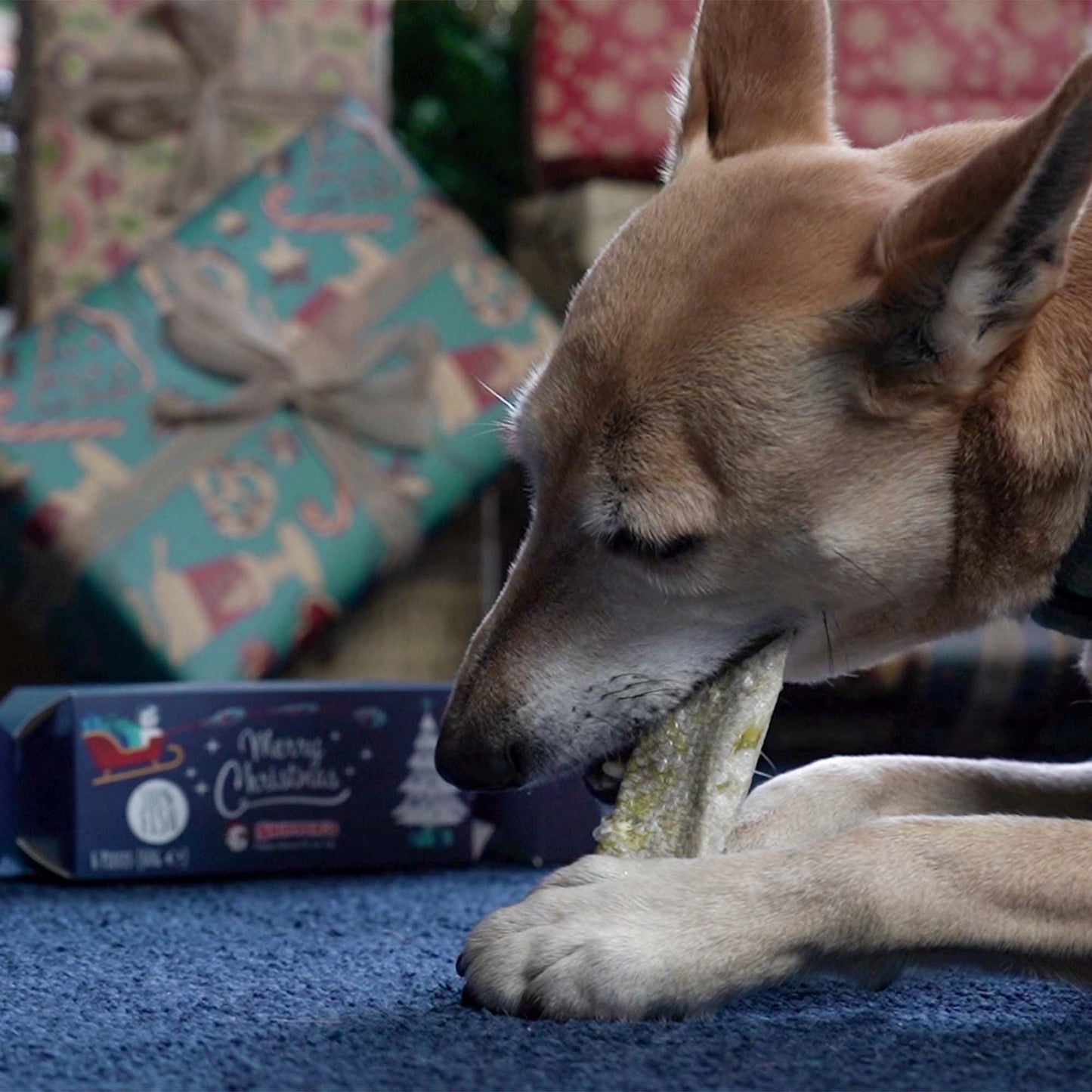 SKIPPER'S Christmas Crackers for Dogs - Contains White Fish Skin Flatties, Handmade & Air Dried Crackers Dog Treats, 100% Natural Long Lasting Dog Chews, High Protein & Rich in Omega 3 | (2.12 Oz)