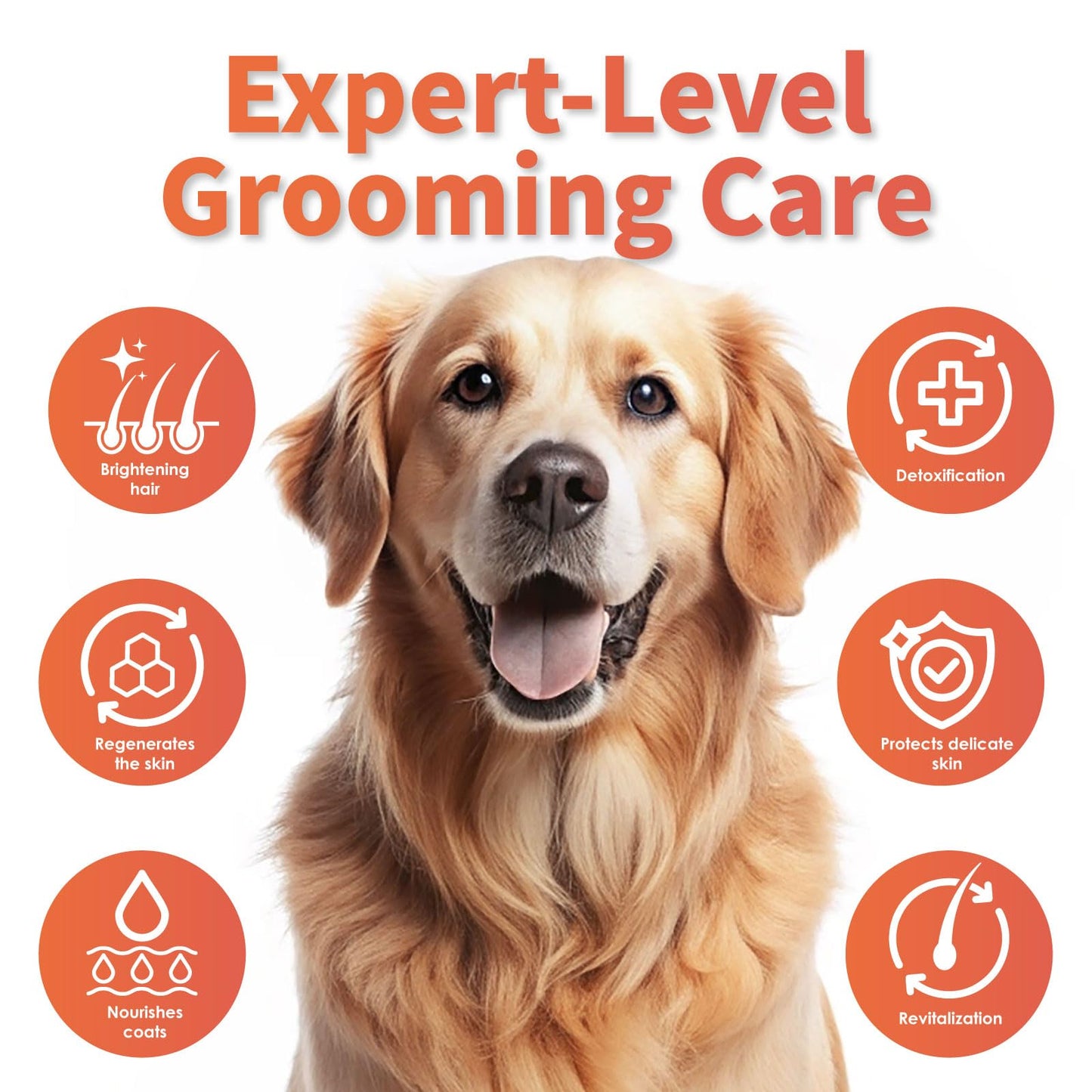 Arf Arf Dog Shampoo Softening Formula, Soften & Fluffy Oatmeal 16oz—Plant-Based 4-in-1: Cleans, Conditions, detangles, moisturizes. Oatmeal & Honey Soothe Itchy Skin. Hypoallergenic. Made in Taiwan.