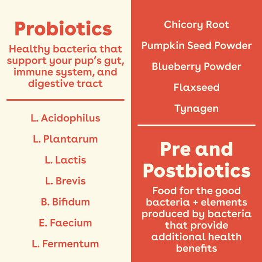 Pupford Gut Health & Immunity Supplement for Puppies and Adult Dogs, Made in The USA, Vet Approved, No Artificial Flavors, Peanut Butter and Jelly, Net Wt. 6.3 oz (180g)