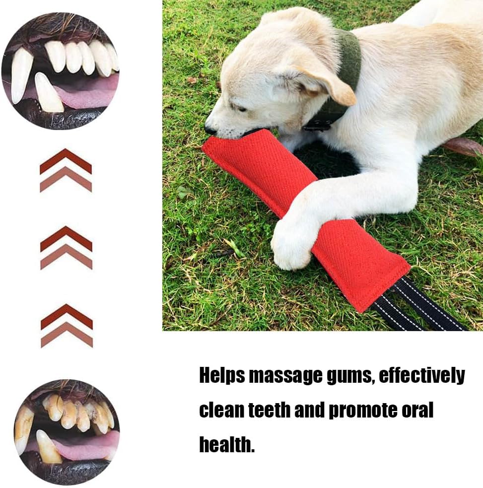 LZDGCC 2 Pack Tug of War Dog Toy, Interactive Dog Toys, Pet Tough Jute Bite Pillow with 2 Handles, Dogs Interactive Toy, Dogs Training Toys for Small and Medium