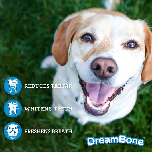 DreamBone Dental Chews, Rawhide-Free Chews for Dogs, Maintain Fresh Breath and Clean Healthy Teeth