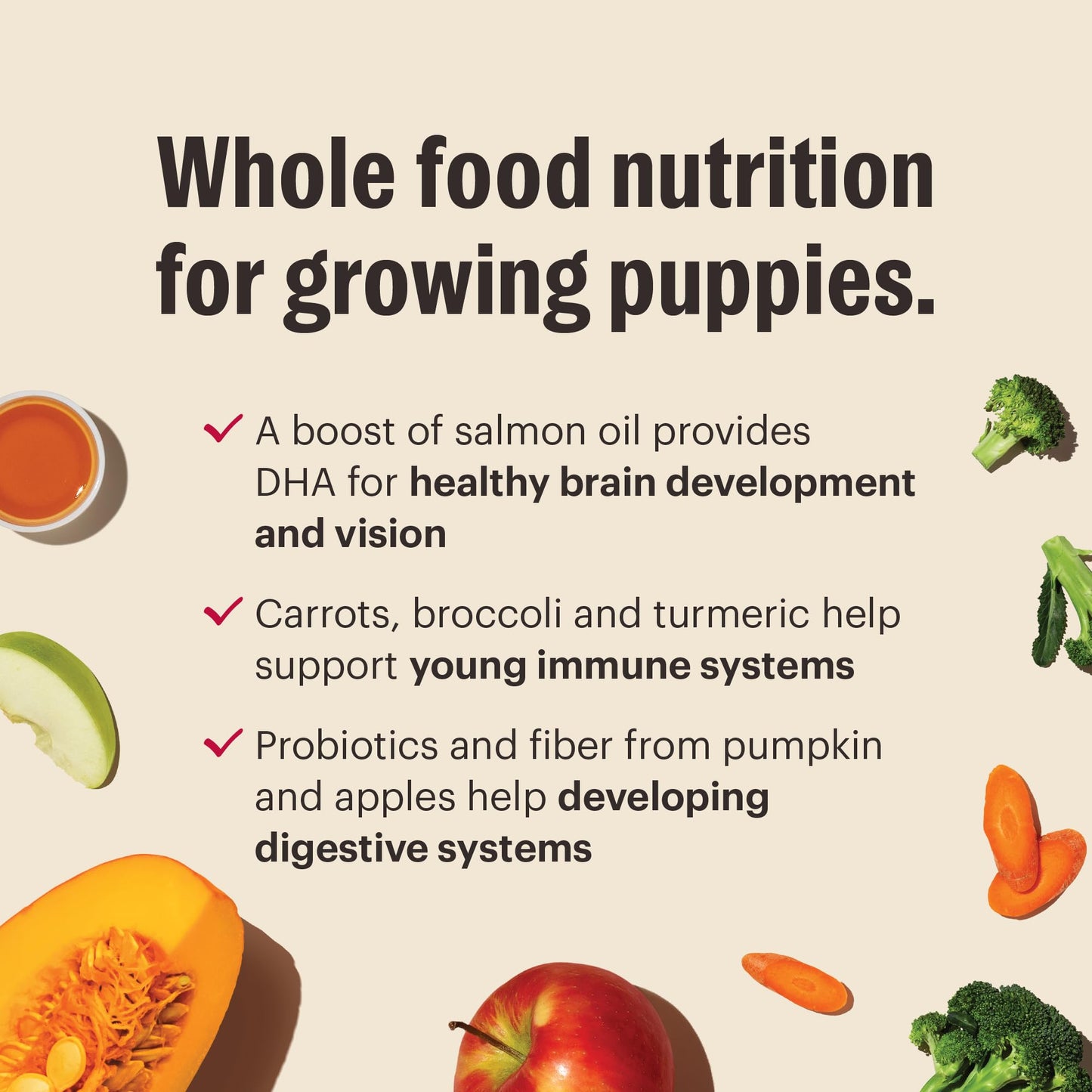 The Honest Kitchen Whole Food Clusters Puppy Whole Grain Chicken Dry Dog Food, 4 lb Bag