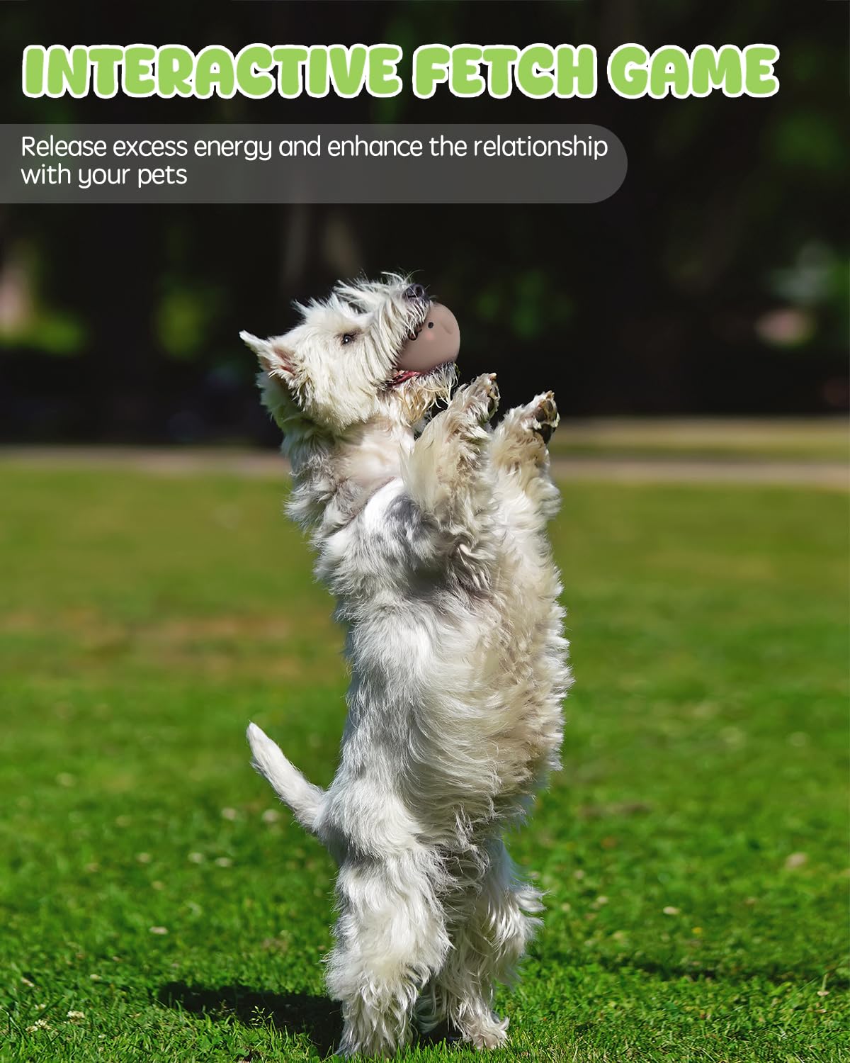 SCHITEC Dog Toys Squeaky, Interactive Animal Puppy Toy Pack, Cute Latex Rubber Squeak Pet Balls for Puppies Mini Small Breed Dogs