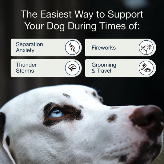 Pure Dogs Calming Chews for Anxiety & Stress Relief - Dog Treats with Organic Hemp & GABA - Soothe Scratching & Restlessness - 90 Calming Treats