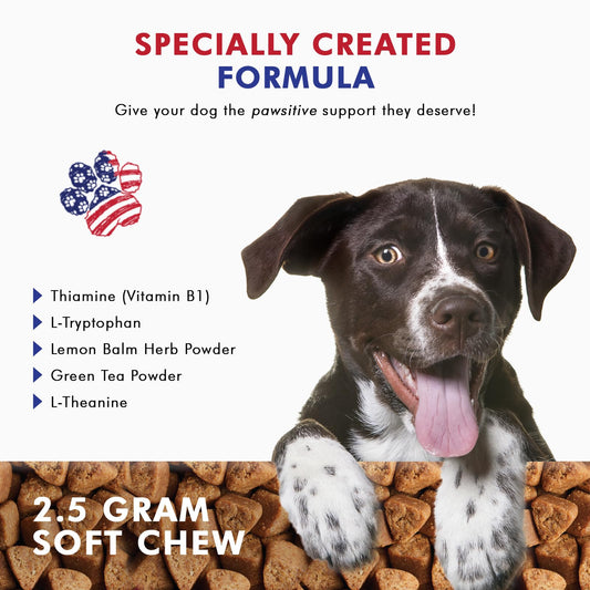 Pawfetto Advanced Calming & Behavior Support for Dogs, Stress and Anxiety Relief Treats, Thiamine, L-Tryptophan & L-Theanine, Help Relieve Stress from Separation, Storms, Fireworks & Travel, 100Ct