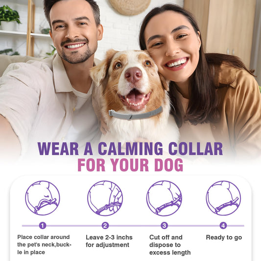 Calming for 4 Pack Pheromone Calming Collar for Dogs Calming Collar for Dogs Anxiety and Stress Lasts 60 Days Suitable for All Small, Medium and Large Calming Dog Collar Natural
