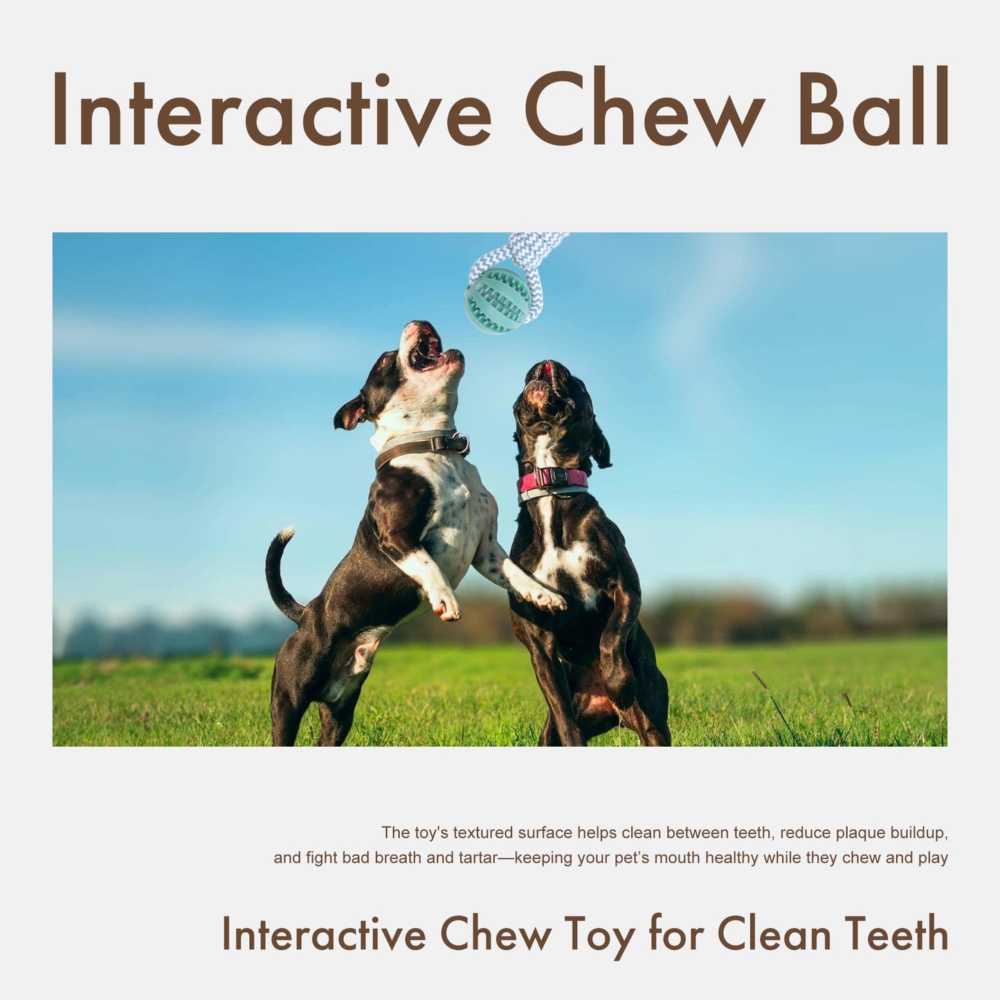 Mira's Pocket Indestructible Chew Toy for Aggressive Chewers - Durable Rubber Dog Teething Ball with Rope, Boredom Relief Puppy Toys (Blue, Small)