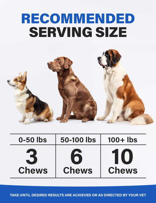 Charlie & Buddy Calming Chews for Dogs, Dog Anxiety Relief, Promote Relaxation, Dog Calming Chews with Melatonin for Dogs, Chamomile, Magnesium Citrate, 90 Soft Chews, Chicken Flavor