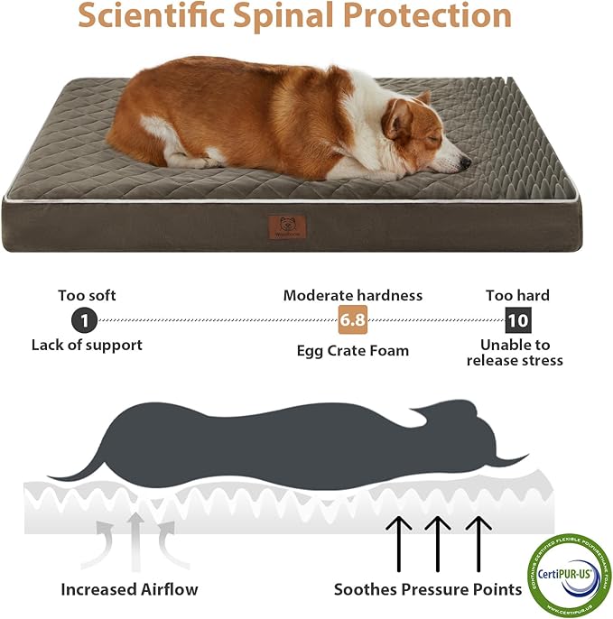 WNPETHOME Orthopedic XXL Dog Beds Large Sized Dog, Waterproof Extra Large Dogs Bed with Removable Washable Cover, Multi-Needle Quilting Dogs Crate Bed