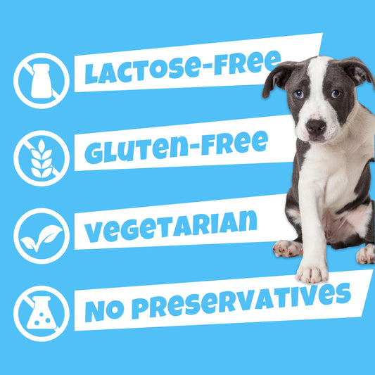 KPRODUCT4U Swisscowers Cheese Chips for Small and Large Dogs - Made with 100% Swiss Milk, Lactose-Free, Gluten-Free, No Preservatives, 80g