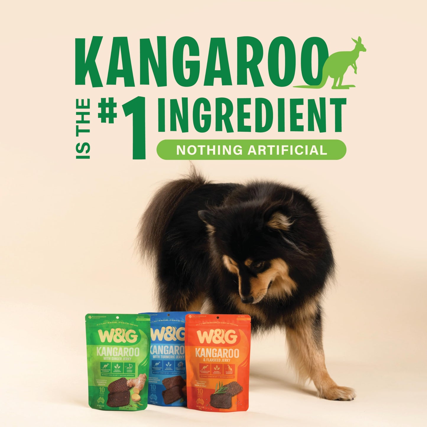 W&G Kangaroo and Ginger Soft Jerky for Dogs, Limited Ingredient Dog Treats, Hypoallergenic Alternative to Chicken Beef, Promotes Healthy Digestion, All-Natural Training Rewards, 3.5oz