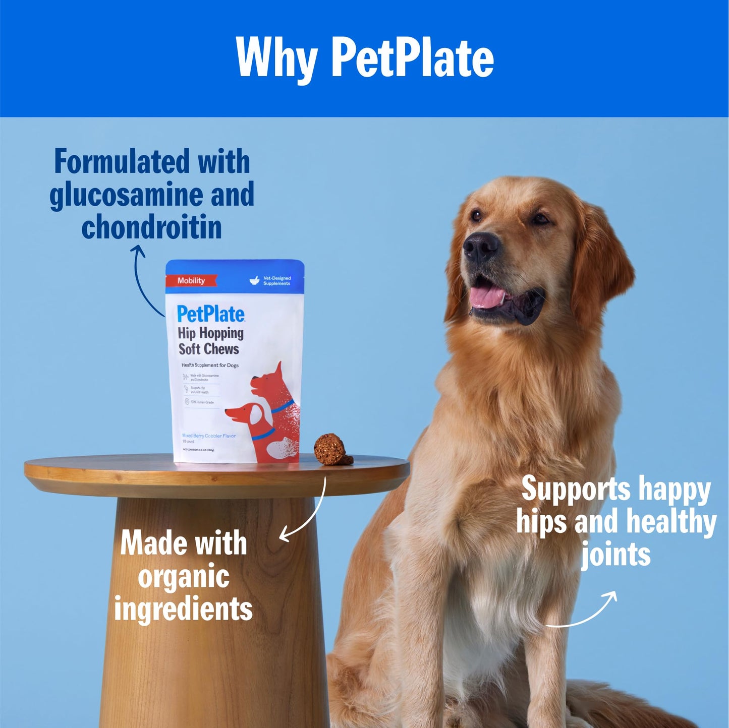 PetPlate Hip Hopping Soft Chews for Dogs, Hip and Joint Supplements, Organic and Human-Grade Ingredients, Mobility Support, Pet Supplies (Pack of 1, 9.8 Ounce)