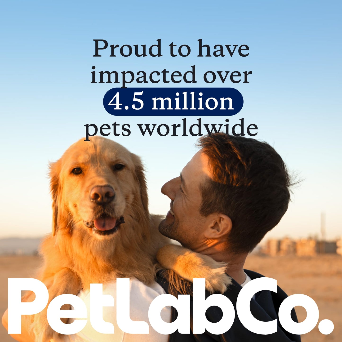 PetLab Co. Dental Sticks – Dog Dental Chews -Target Plaque & Tartar Build-Up at The Source - Designed to Maintain Your Dog’s Oral Health, Keep Breath Fresh and Provide Digestive Help (24 Sticks)