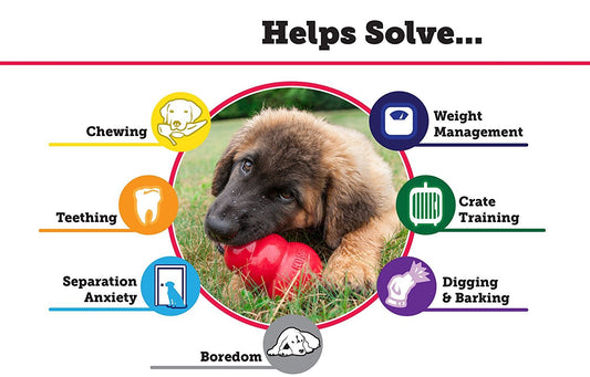 KONG 2 Pack Large Classic