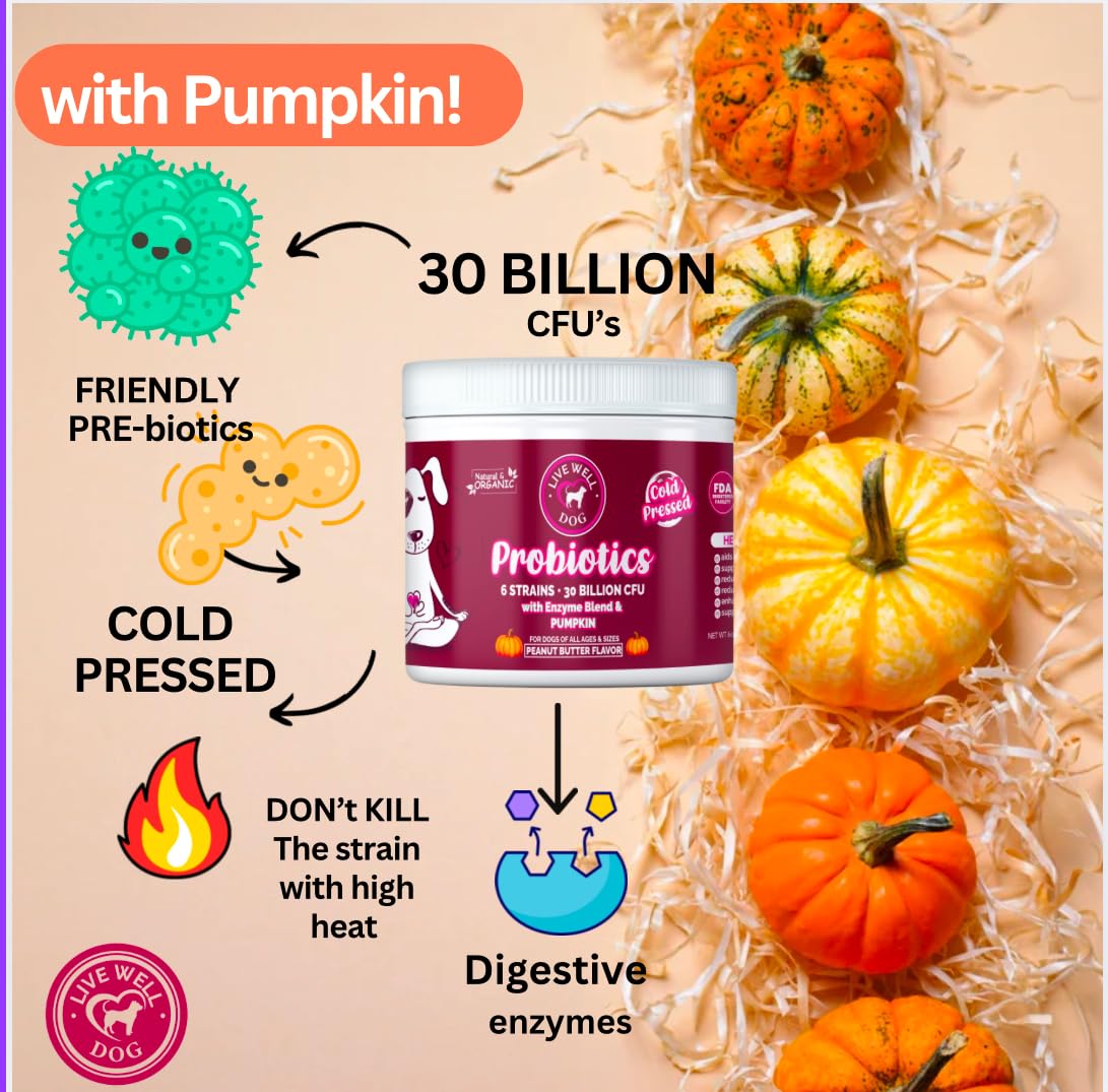 Wellness Complete Health Small Breed Adult Dry Dog Food with Grains and Real Turkey, Natural Ingredients, Omega Fatty Acids, and Probiotics, Made in USA (12-Pound Bag)”