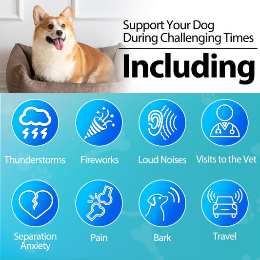 Carmelie Hemp Calming Chew for Dog - 200 Chews Dog Calming Treats -Dogs Anxiety & Stress Relief Valerian Root Chamomile Melatonin for Separation, Barking, Stress & Slee- Chicken Flavor