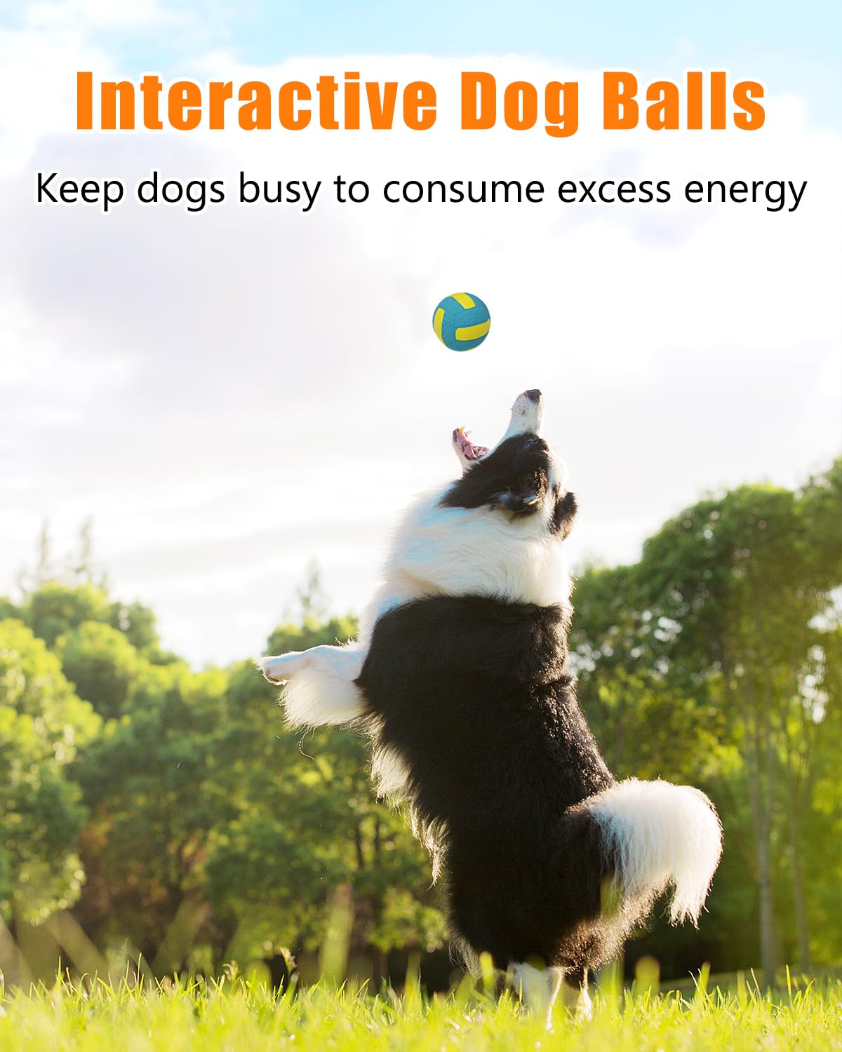 Squeaky Dog Balls, Interactive Funny Puppy Chew Toys for Fetch Play to Keep Them Busy, Latex Rubber Pet Tennis Soccer Ball Toy Bundle (4 Pack) for Medium Breed Dogs