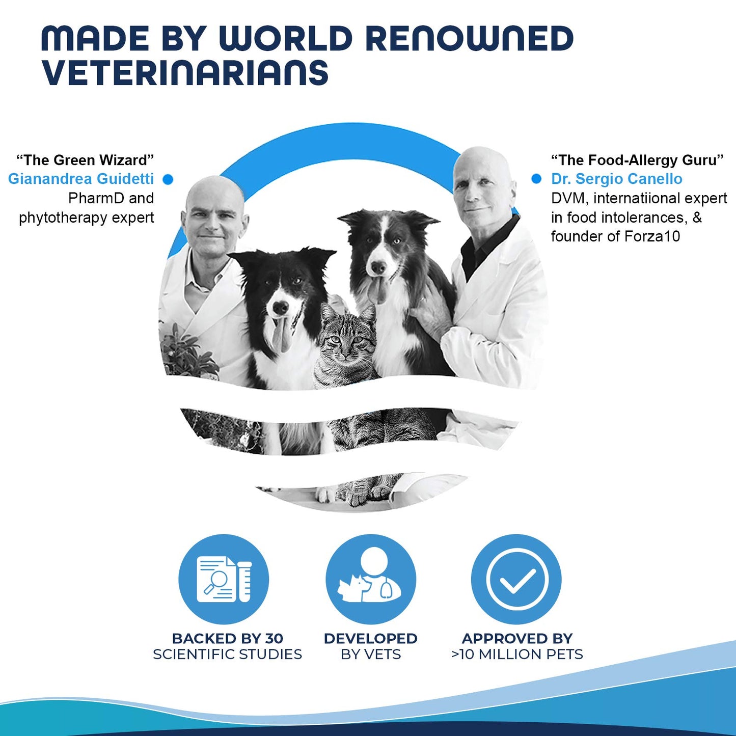 Forza10 Dermo Allergy Dog Food, Dog Food for Allergies and Itching, Dry Dog Food for Skin Allergies, Fish Flavor Sensitive Stomach Dog Food, Sensitive Stomach Dog Food Adult Dogs All Breeds, 6 Pounds