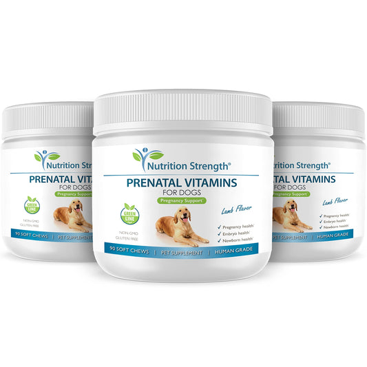 Nutrition Strength Prenatal Vitamins for Dogs to Support Development of Healthy Puppies, Promote Milk Production, with Folic Acid, Iron, Zinc, Iodine, B Vitamins for Pregnant Dogs, 90 Soft Chews