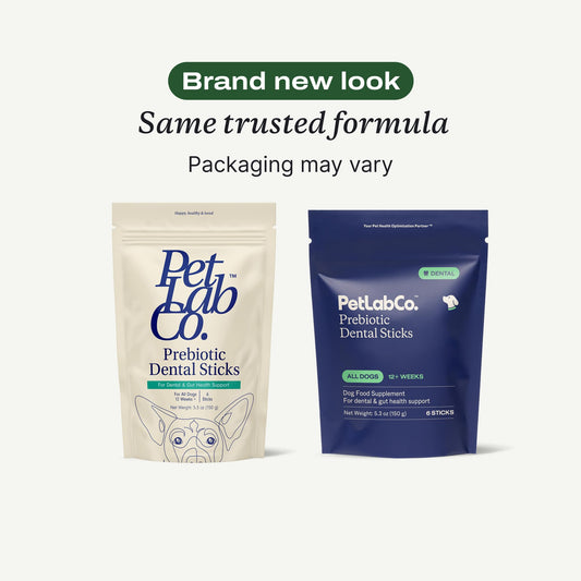 PetLab Co. Dental Sticks – Dog Dental Chews -Target Plaque & Tartar Build-Up at The Source - Designed to Maintain Your Dog’s Oral Health, Keep Breath Fresh and Provide Digestive Help (6 Sticks)