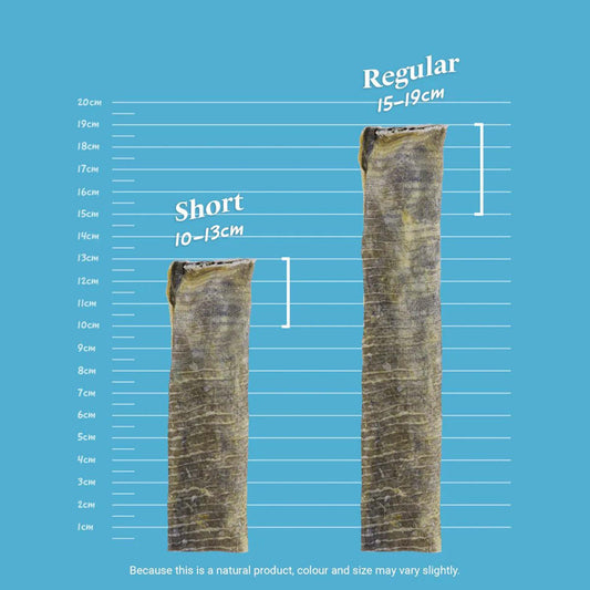 SKIPPER'S Dogs Fish Skin Flatties - Air Dried Grain Free Dog Treats, Great for Teeth, Long Lasting Dog Chews, Remove Plaque, Source of Omega 3, Naturally Low in Fat | 9Oz