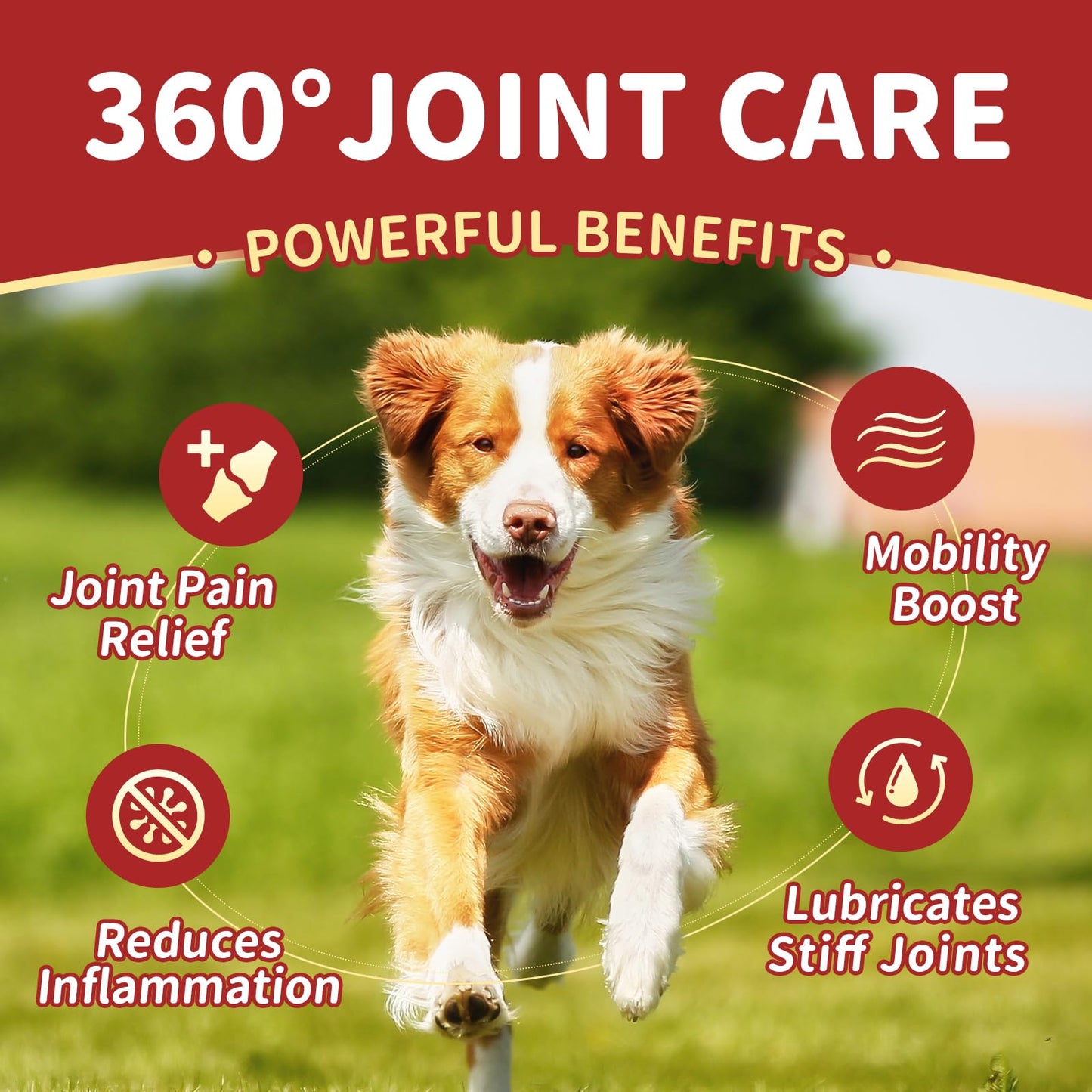 NATURE TARGET Glucosamine for Dogs, Joint Supplement with Chondroitin, MSM, Omega-3, Hemp for Pain Relief, Hip & Joint Chews for Dogs with Calcium for Bone Health, 120 Soft Chews