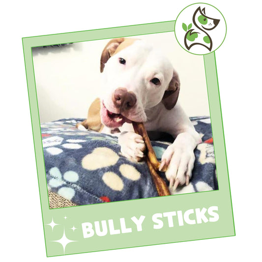 Nature Gnaws Bully Sticks for Dogs 5-6" (8oz) - Mixed Thickness - Long Lasting for Aggressive Chewers and Large Dogs - Natural Beef Dog Chew Bones
