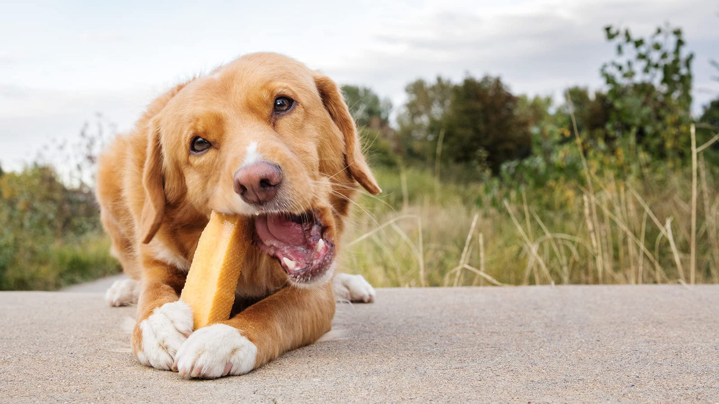 peaksNpaws Himalayan Dog Chews, High Protein Yak Cheese, Lactose Free, Natural Dog Treat, Long Lasting Chew Stick for Aggressive Chewers Under 35 lbs, 3 Medium Sticks, 100% Eco-Friendly Packaging