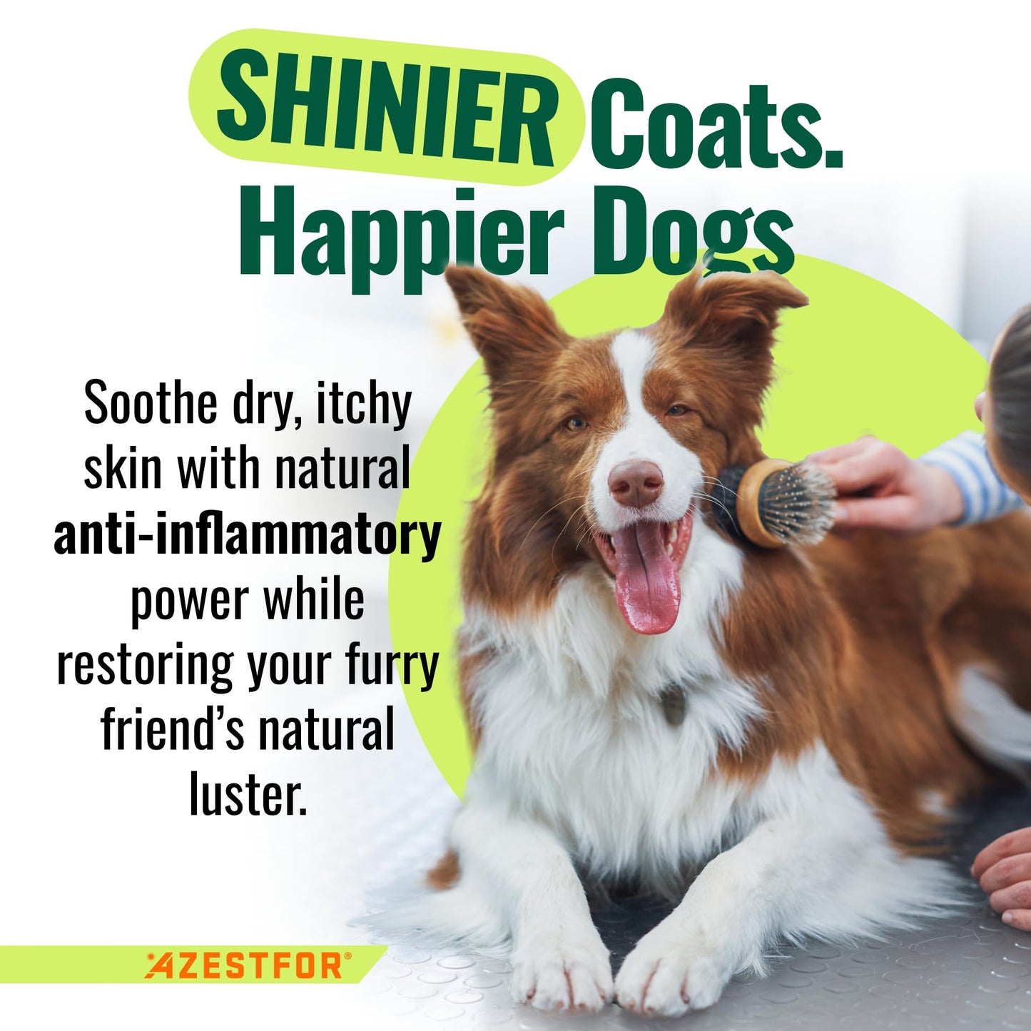 Azestfor Anti-Inflammatory Green Lipped Mussel for Dogs Powder