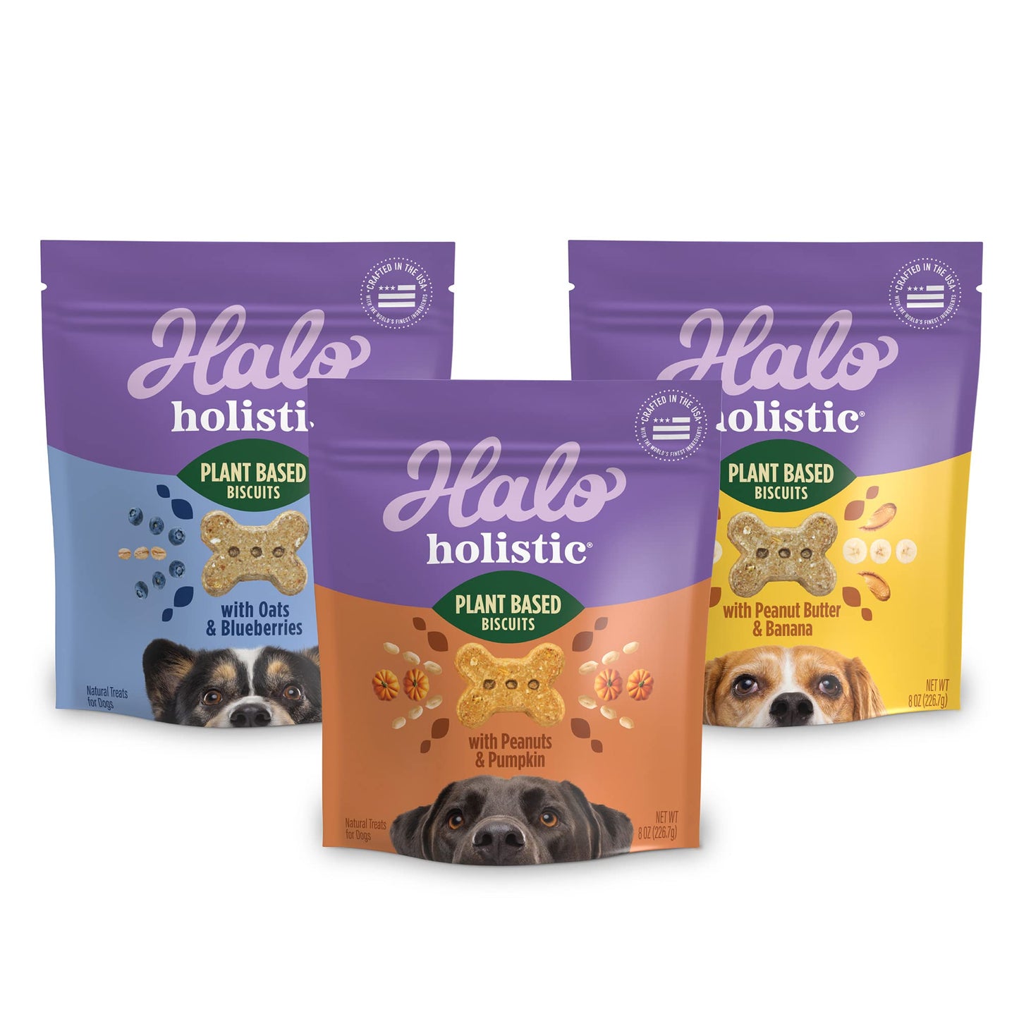 Halo Holistic Vegan Dog Treats Variety Pack, Plant-Based Three Bag Treat Pack with Oats & Blueberries, Peanut Butter & Banana, Peanuts & Pumpkin, 8 Oz Bag(Pack of 3)