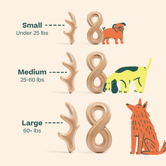 WOOF HonestChew Dog Toy Antler - Durable Dog Chews - Made with Natural, Plant-Based Ingredients - Splinter-Resistant - Safer Than Dog Bones - Small