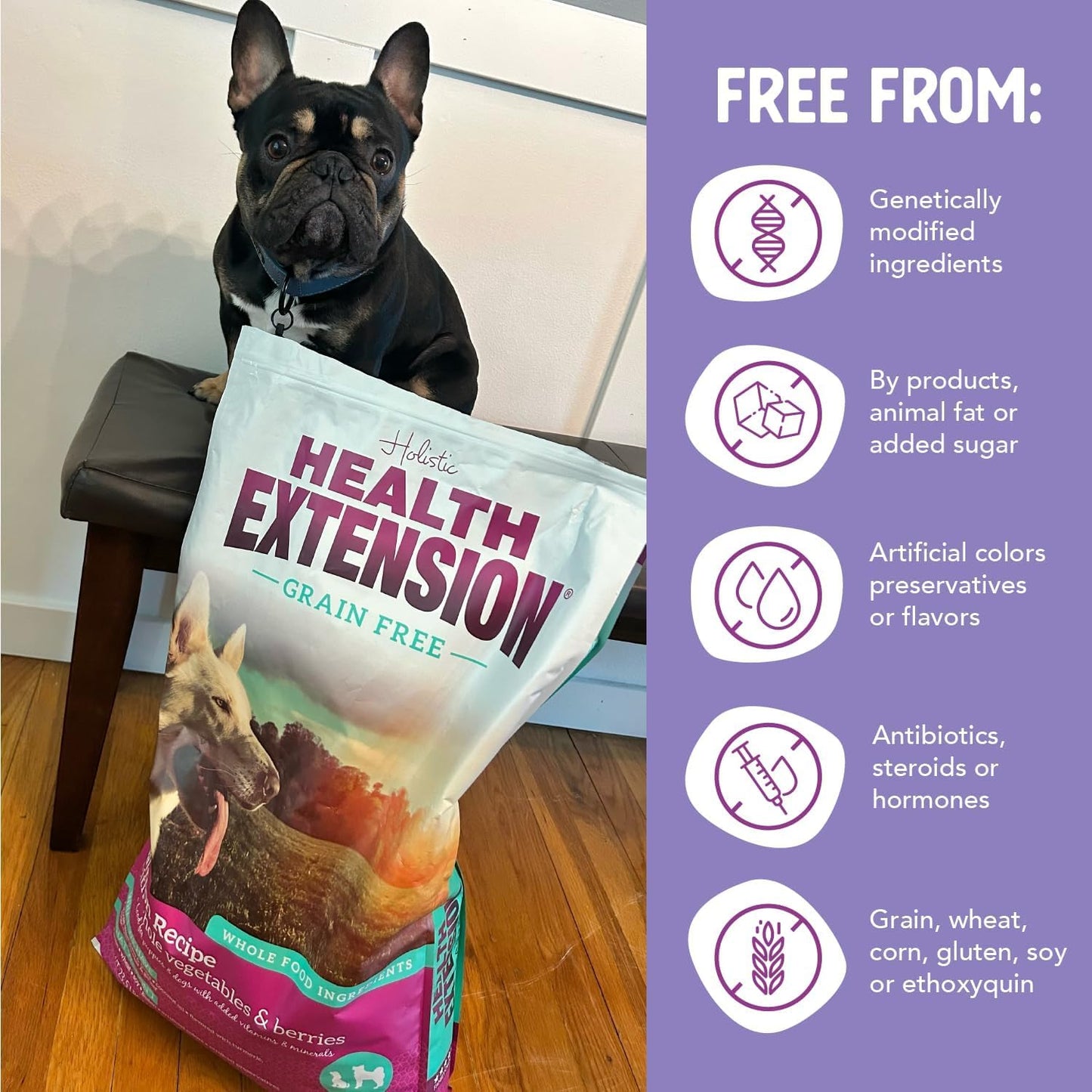 Health Extension Grain Free Salmon & Sweet Potato Dry Dog Food (4 lb / 1.81 kg) - Whole Foods Ingredients Formula with Omega 3 & Antioxidants for All Life Stages Dogs