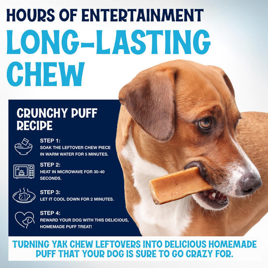 FETCHERONI Yak Cheese Himalayan Dog Chews – Long Lasting, Odorless, Natural Dog Bones - High Protein, No GMO Treat – Made with Real Himalayan Salt and Yak Milk for Medium and Small Dogs - 3 Sticks