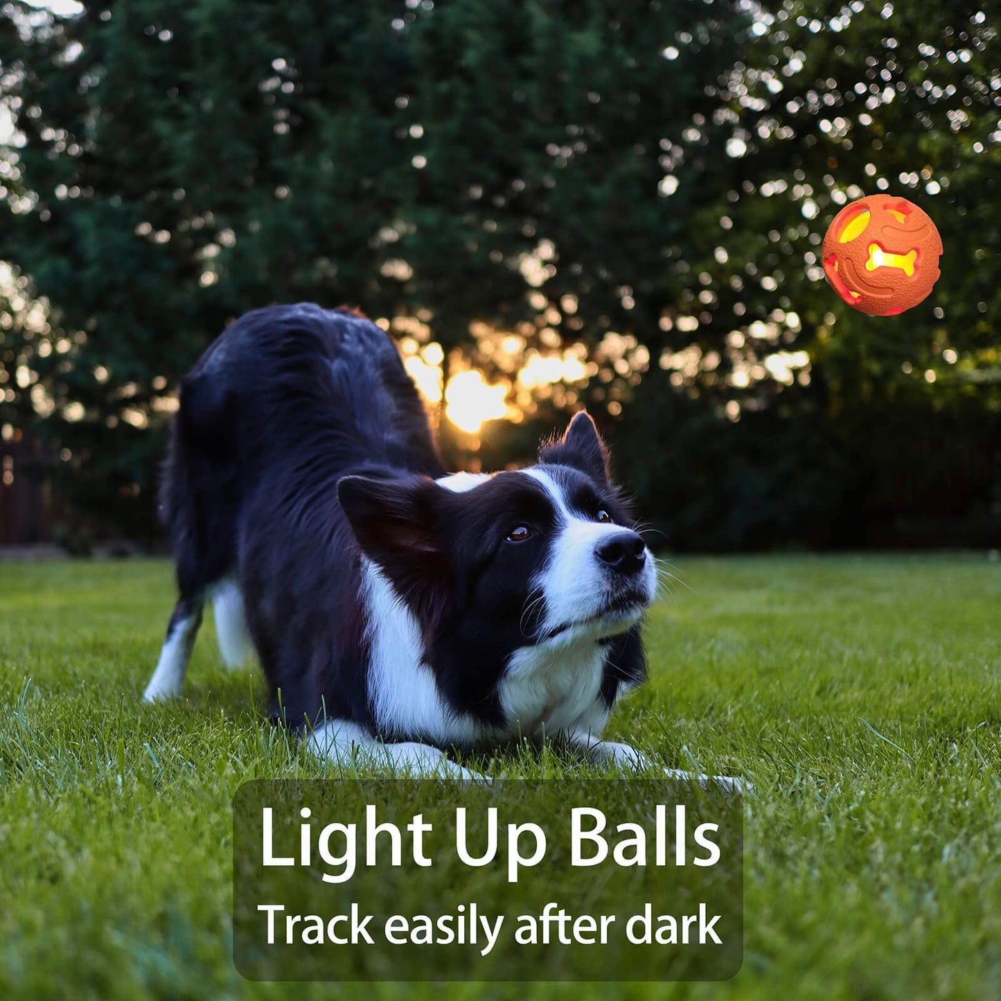 Leejec Dog Toys, 2.5" Interactive Light up Balls, Chew Toys for Medium and Small Breed, Rubber Durable Fetch Training Balls, Pet Birthday Gift, 3-Pack