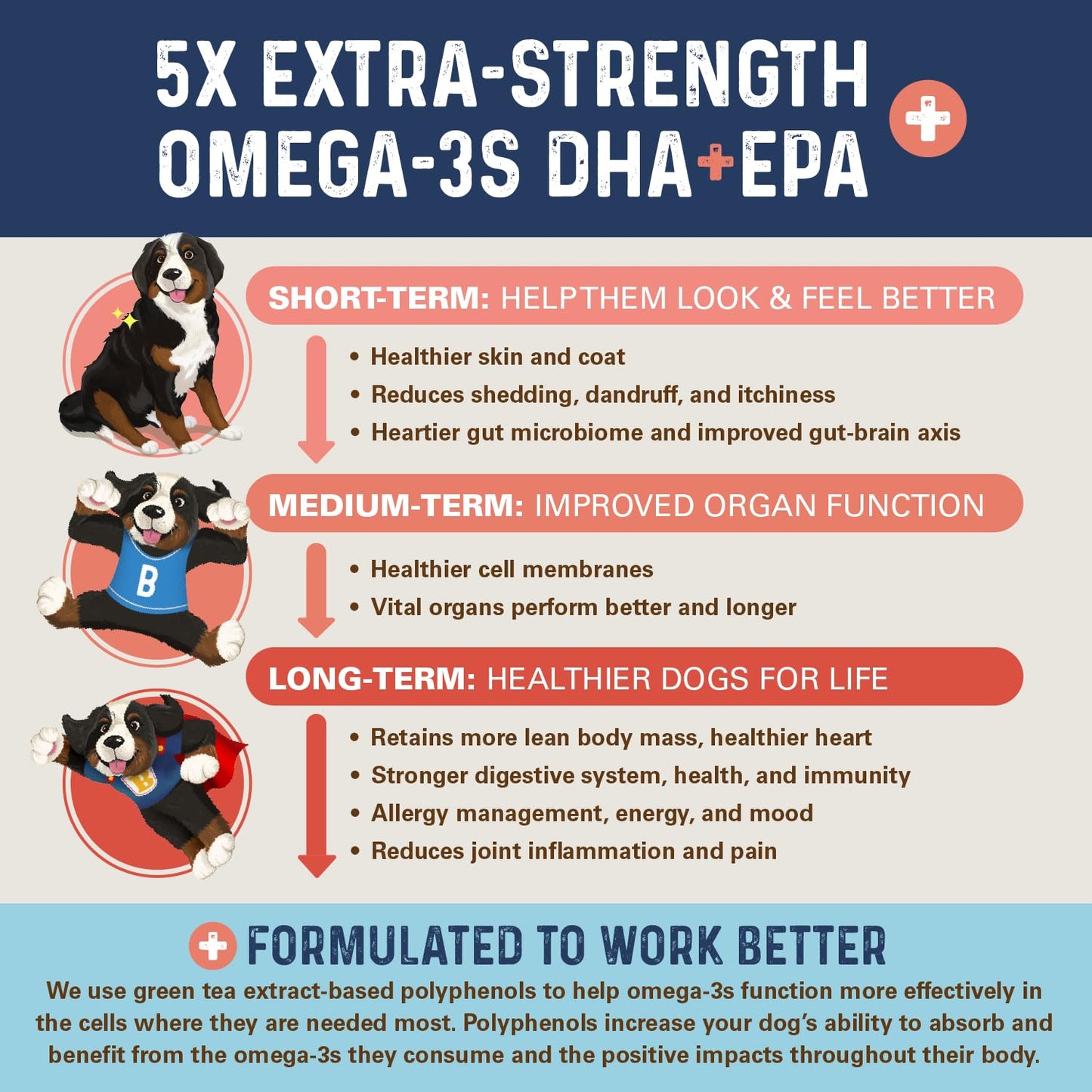 Bernie’s OMG! Omegas Chews for Dogs - 5X Extra Strength DHA+EPA, Fish Oil, Healthy Skin & Coat, Allergy Relief, Joint Supplement (Pork Flavor)