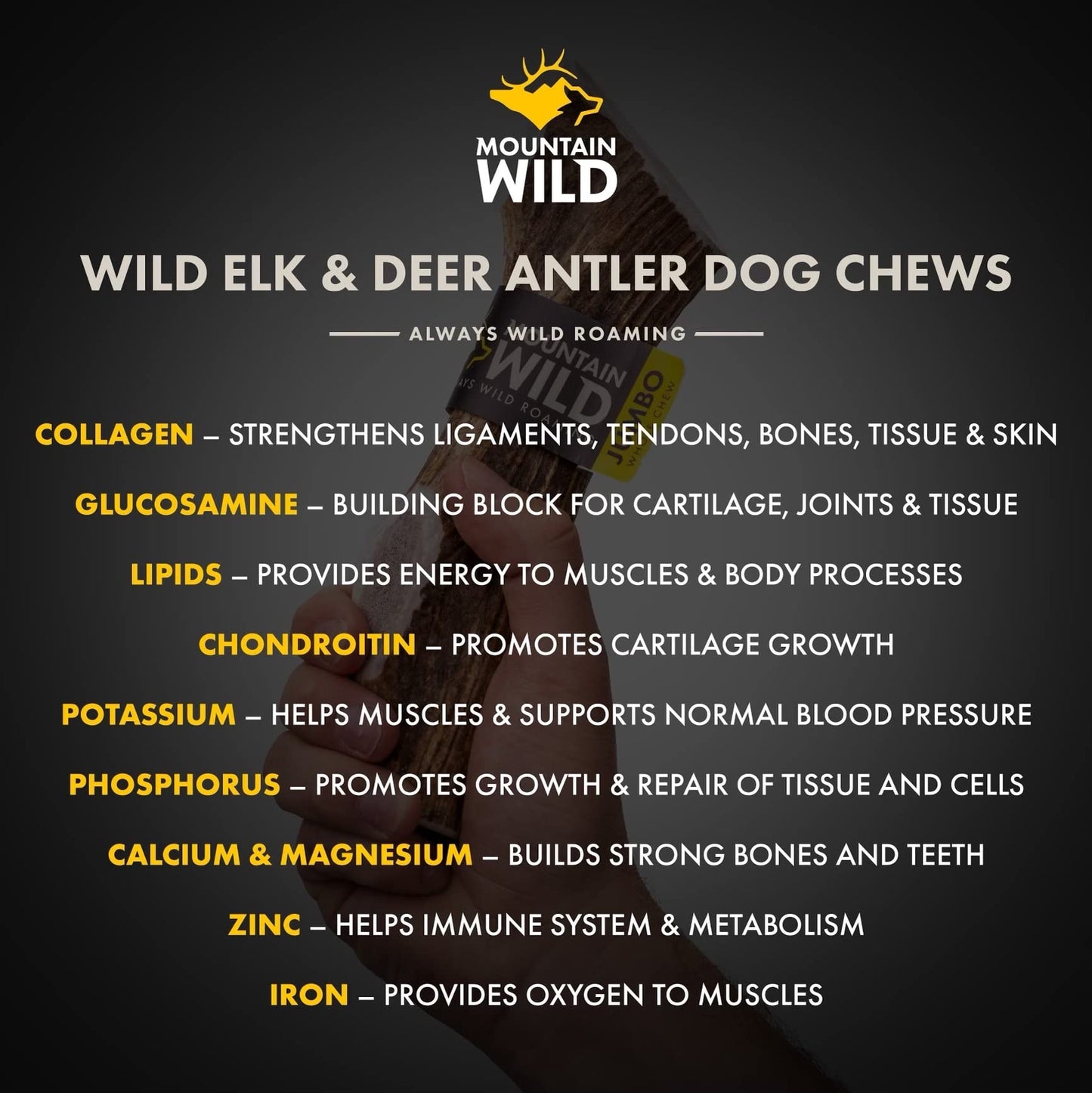 MOUNTAIN WILD Split Elk Antler Dog Chews for Aggressive Chewers – Naturally-Shed, Long-Lasting, Odorless, Mineral-Rich – No Fillers, No Preservatives – Supports Dental Health – Small Breeds (Small)