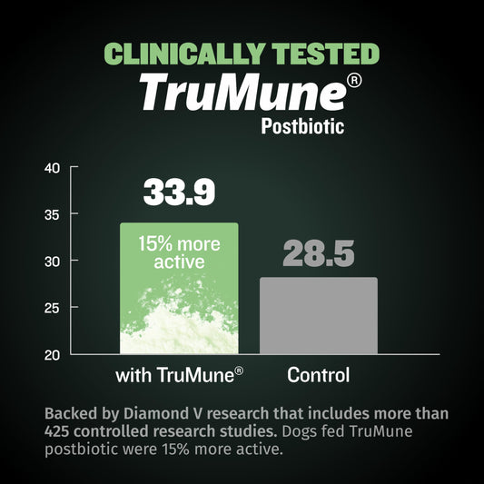 Bully Max 24/14 High Protein Puppy Food (5lbs.) and Puppy Vitamins (30 chewable tabs) for Development & Growth Bundle – Muscle, Immune, Bone & Digestive Support in Small and Large Breed Puppies