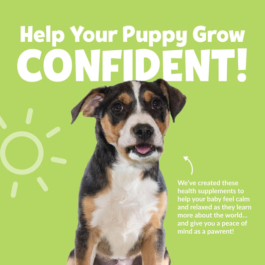 Snuggle Puppy Day Calm Puppy Bites with Colostrum, Chamomile & Ashwagandha - Calming Treats for Dogs to Support Restfulness & Sleep - 60 Soft Chew Dog Treats