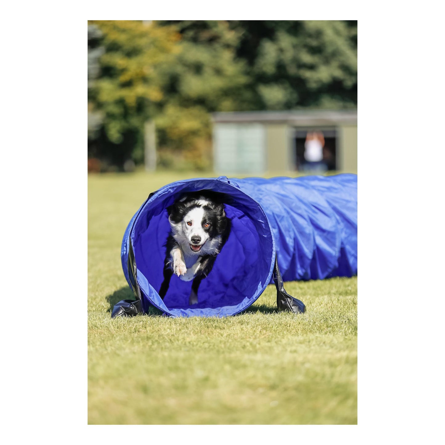 TRIXIE Dog Agility Tunnel– Dog Tunnel for Large Dogs Agility Training, Portable Dog Tunnel 196.9 in Long & 23.6 in Diameter, Dog Agility Equipment for Beginners & Advanced