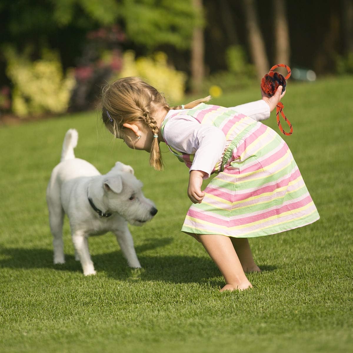 Nevperish K9 Training Ball with Rope Exercise and Reward Toy for Dogs - Indestructible Dog Toy Ball with Handle for Training Pull Throw Tug Fetch Belgian Malinois Gifts (Orange)