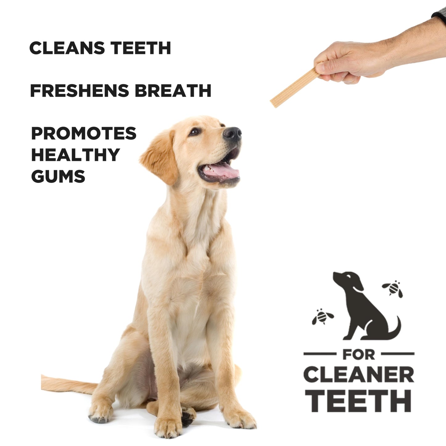 Dental Treats for Dogs Ñ Healthy, Non-GMO Project Verified, Natural Peanut Butter Flavored, Natural, Vegetarian Chews, Made in The USA (Chew Sticks, Large Breeds)