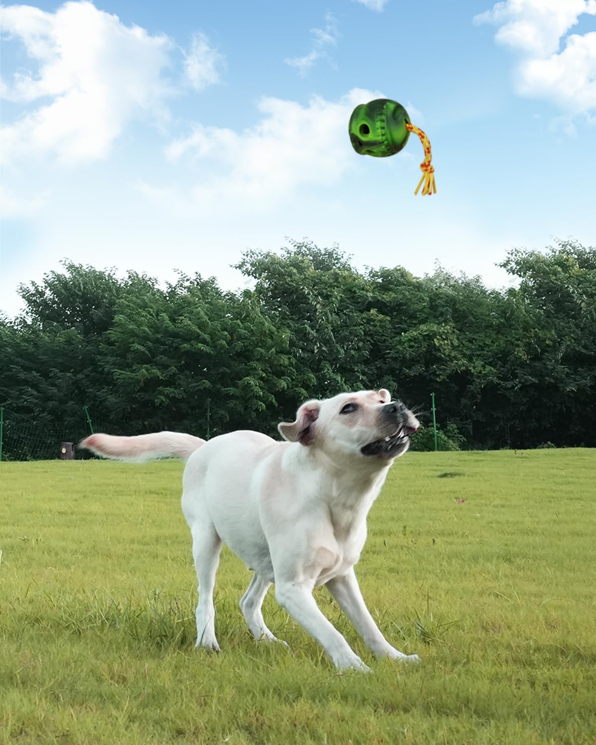 Joytale Dog Frozen Treat Toy, Fillable Dog Chew Toys with Frozen Mold for Aggressive Chewers, Skull Design with Rope to Keep Them Busy