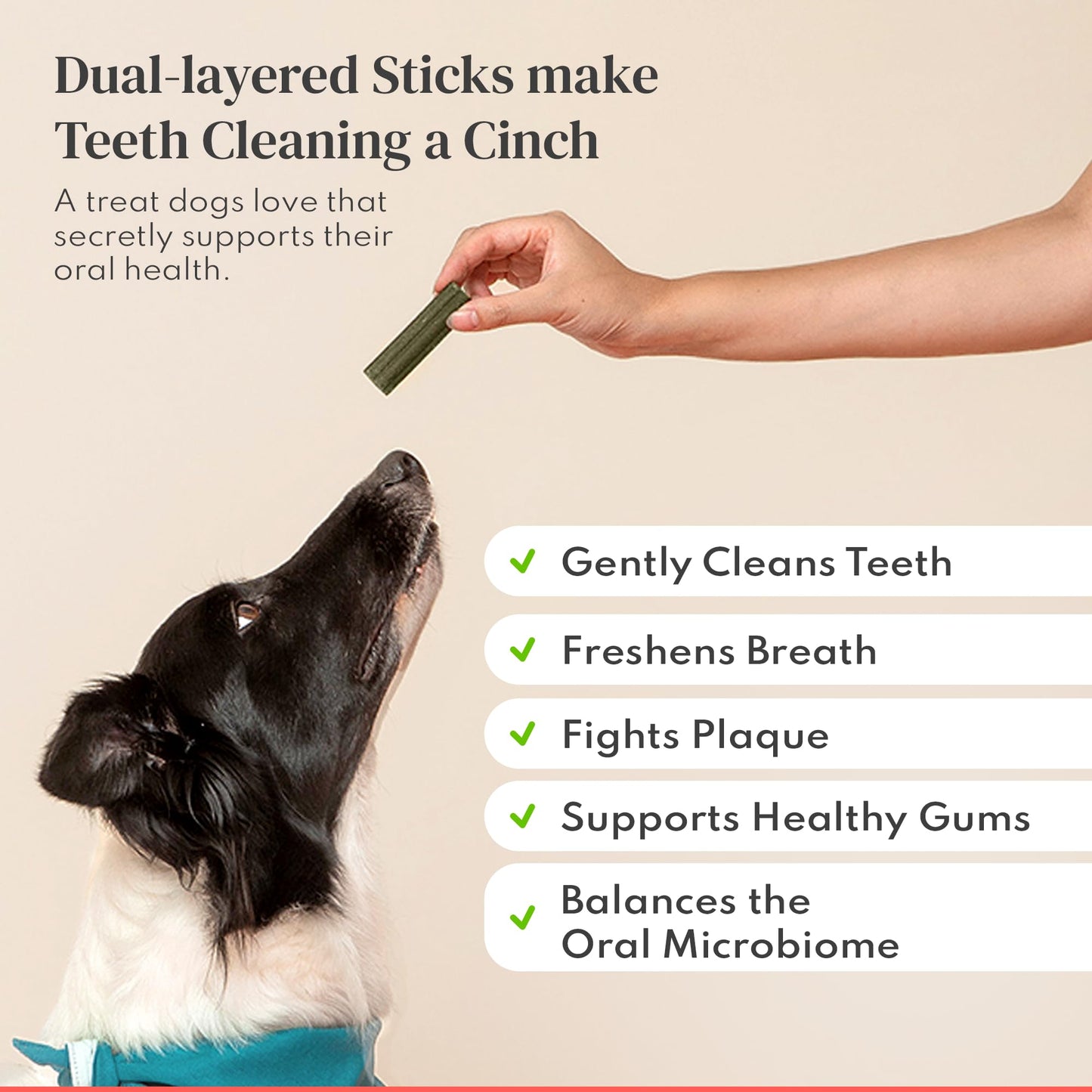 Dental Chews for Dogs – Scrapes Plaque, Freshens Breath, Fights Tartar – Dual-Layered Dog Dental Treats with Probiotics – Vet Formulated with 16 Active Ingredients – All Dog Sizes – Made in The USA