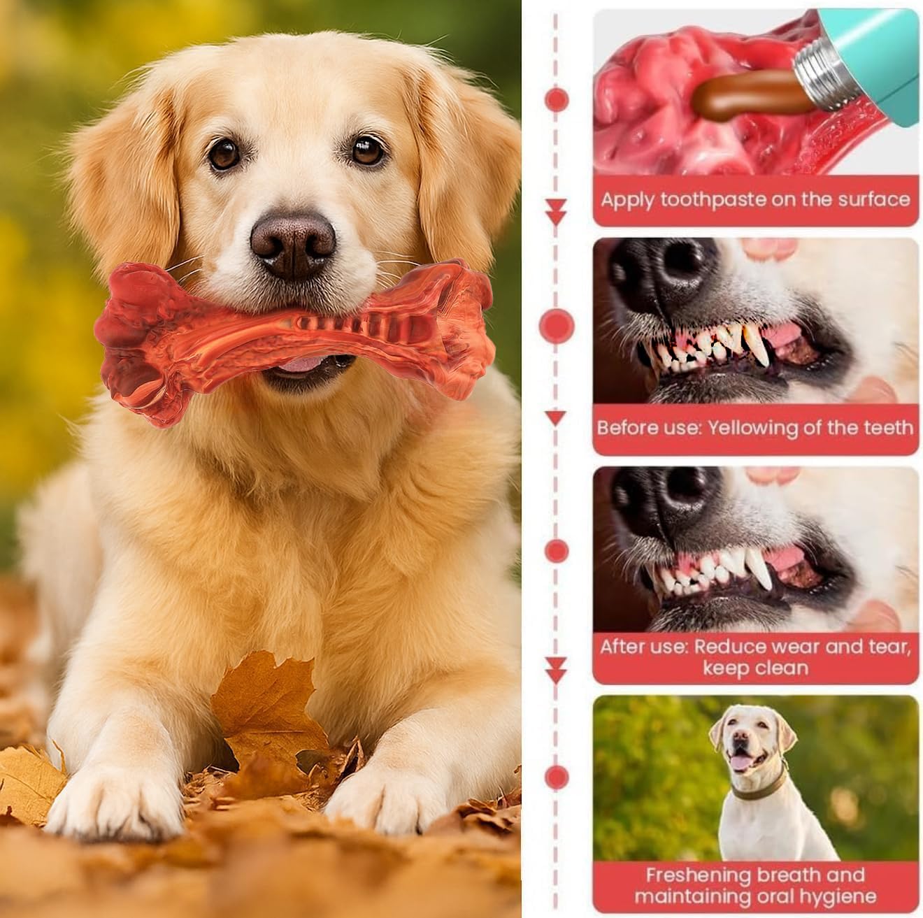 Paws Power Dog Chew Toy - Natural Rubber Dog Toy, Beef Flavor – Dog Toys for Medium & Large Dogs - Bone-Shaped Chew for Dental Health - Indoor and Outdoor Play