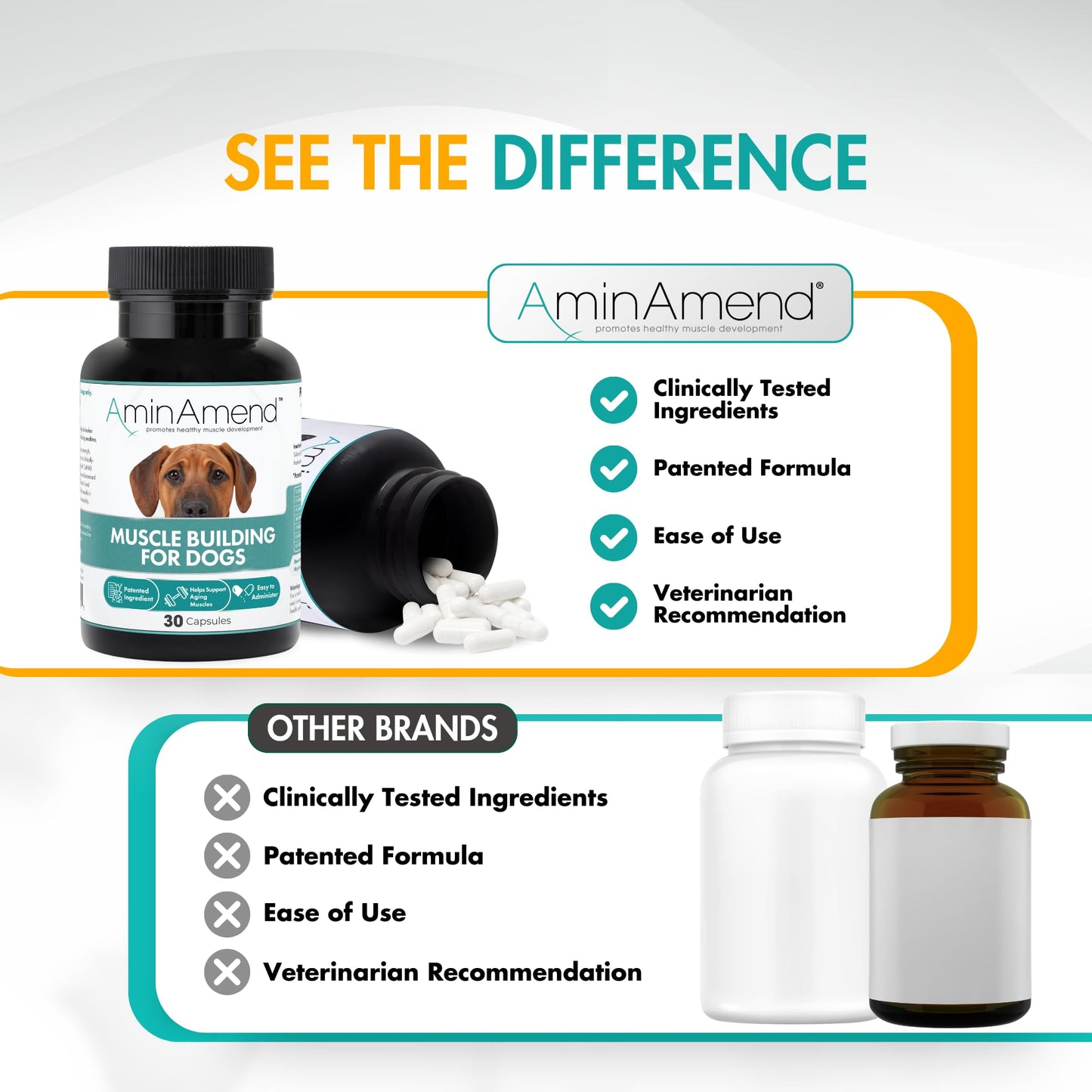 AminAmend Muscle Support Dog Supplements for Large Breed (21lbs+) with CaHMB & Vitamin D3 – Supports Strength, Mobility & Daily Activity for All Ages & Senior Dog – (30 Capsules)