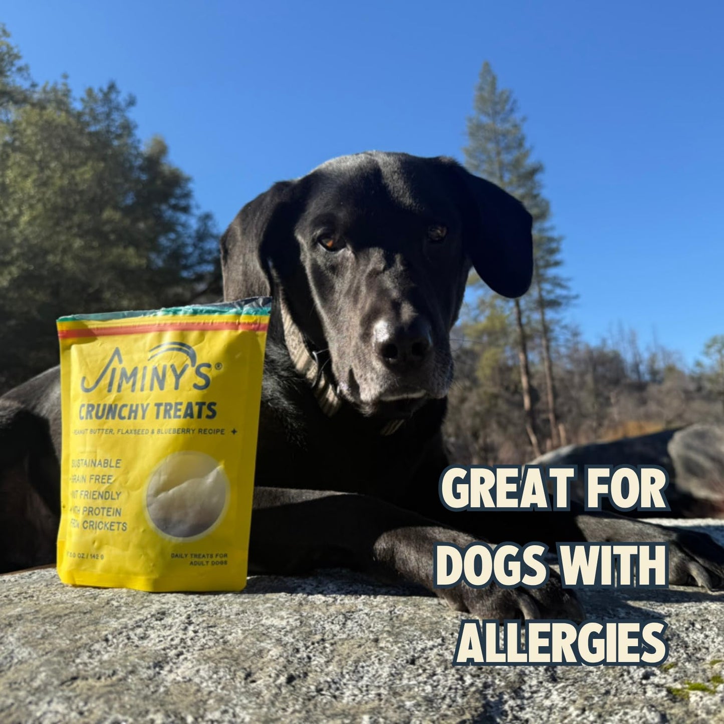 Jiminy's Crunchy Peanut Butter & Blueberry Dog Treat, Hypoallergenic, Prebiotic, Tummy Friendly, Low Calorie, Alternative Cricket Protein, Sustainable, 5oz (Pack of 1)