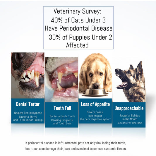 E.M&S.T by Emmeliestella Dog Toothbrush Teeth Cleaning Kit,Three-Sided,Dental Plaque Removal,Oral Hygiene,Freshen Dogs Breath,Reduce Tarta,Extra Soft Bristles, Independent Packaging, Blue&Pink 3PCS