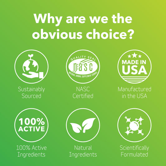 In Clover Natural Dog Allergy Relief Supplement with Turmeric - BioResiliant Treat Powder Supplement for Dogs with Seasonal Allergies, Mangosteen Helps Maintain Histamine Levels