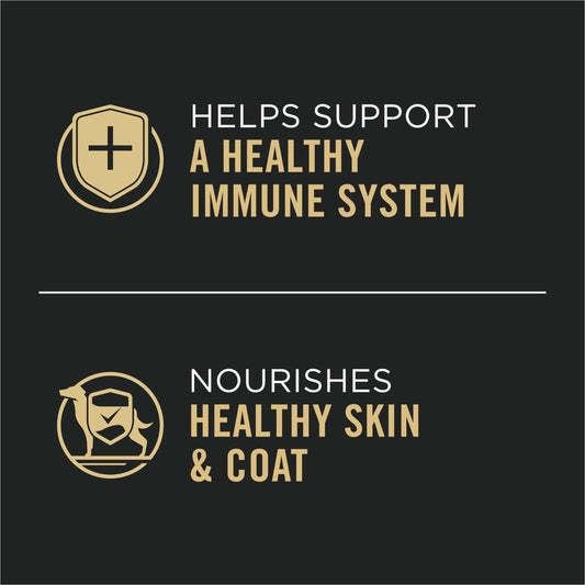 Purina Pro Plan Gravy Wet Dog Food for Large Dogs, Large Breed, Chicken and Rice Entrée - (Pack of 12) 13 oz. Cans